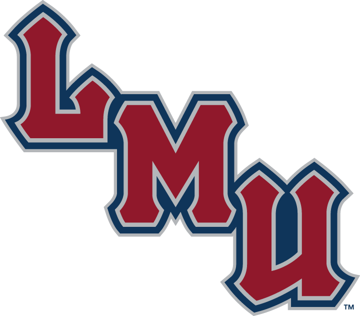 Loyola Marymount Lions 2001-Pres Wordmark Logo t shirts iron on transfers v4